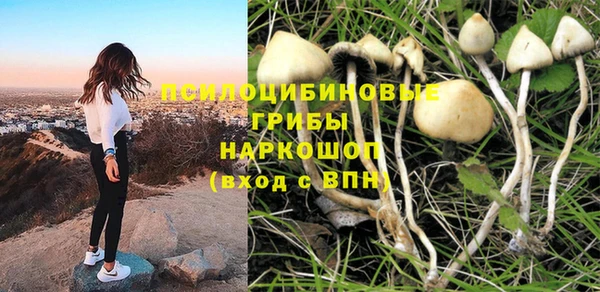 МДПВ Касимов
